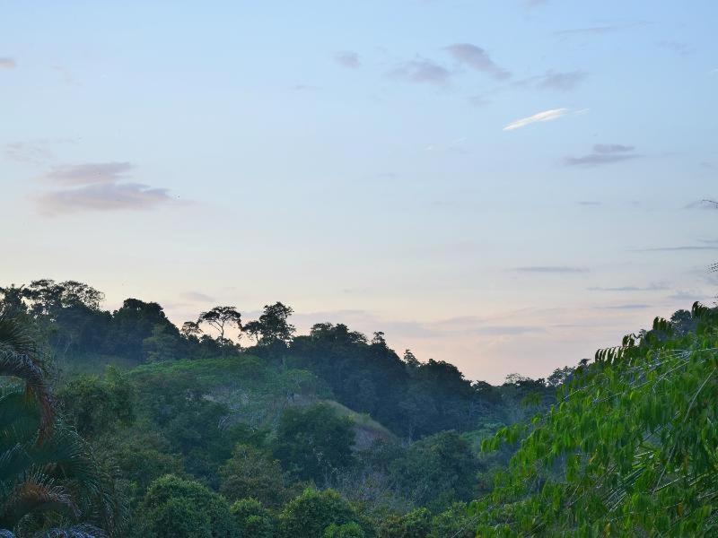 Hotel Tres Banderas Manuel Antonio Chambre photo