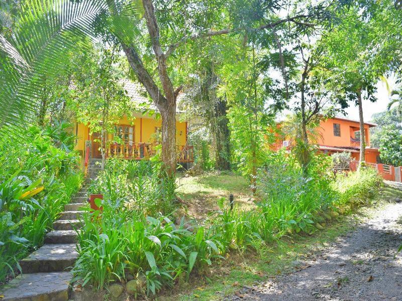 Hotel Tres Banderas Manuel Antonio Chambre photo